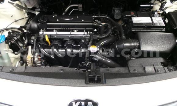 Buy Used Kia Rio White Car in Ezulwini in Hhohho Buy Used Kia Rio White Car in Ezulwini in Hhohho