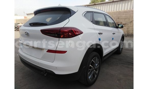 Acheter Import Voiture Hyundai Tucson Blanc à Import - Dubai, Hhohho Acheter Import Voiture Hyundai Tucson Blanc à Import - Dubai, Hhohho