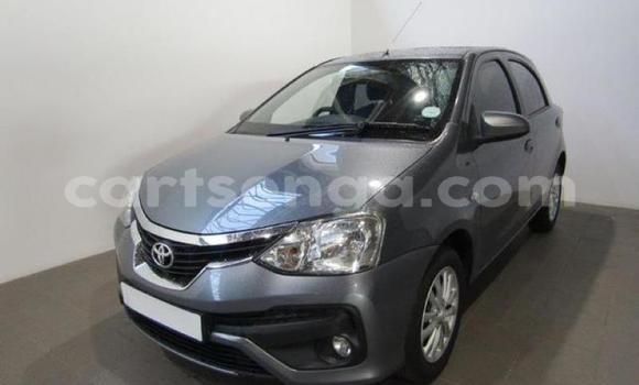 Buy Used Toyota Etios Silver Car in Mbabane in Manzini Buy Used Toyota Etios Silver Car in Mbabane in Manzini