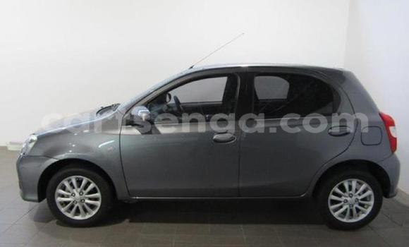 Buy Used Toyota Etios Silver Car in Mbabane in Manzini Buy Used Toyota Etios Silver Car in Mbabane in Manzini