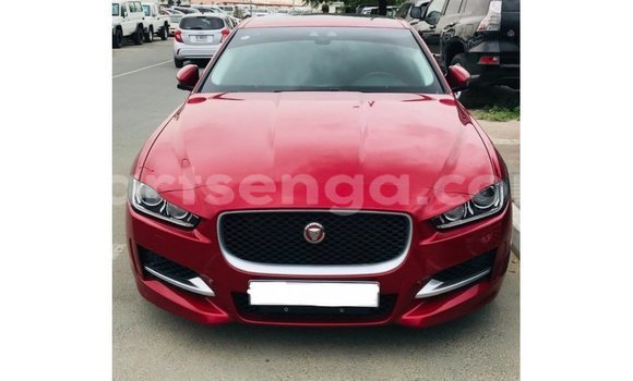 Buy Import Jaguar XE Red Car in Import - Dubai in Hhohho