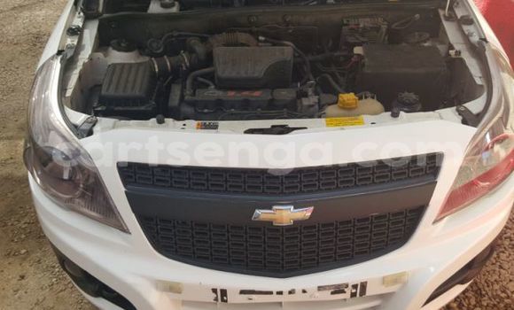 Nunua Ilio tumika Chevrolet S-10 Pickup White Gari ndani ya Ezulwini nchini Hhohho Nunua Ilio tumika Chevrolet S-10 Pickup White Gari ndani ya Ezulwini nchini Hhohho