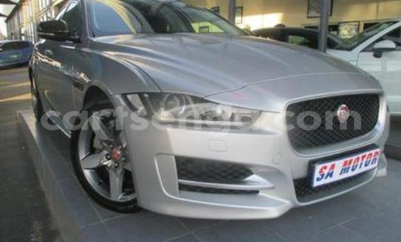 Buy Used Jaguar XFR Silver Car in Bhunya in Manzini Buy Used Jaguar XFR Silver Car in Bhunya in Manzini