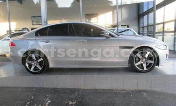 Buy Used Jaguar XFR Silver Car in Bhunya in Manzini Buy Used Jaguar XFR Silver Car in Bhunya in Manzini