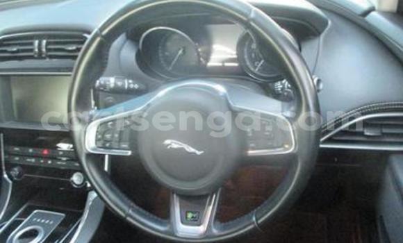 Buy Used Jaguar XFR Silver Car in Bhunya in Manzini Buy Used Jaguar XFR Silver Car in Bhunya in Manzini