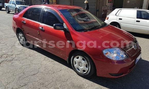 Buy Used Toyota Corolla Red Car in Manzini in Manzini Buy Used Toyota Corolla Red Car in Manzini in Manzini