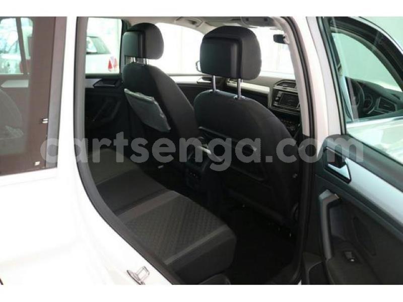 Big with watermark crop800x600 2019 07 23t085314.857