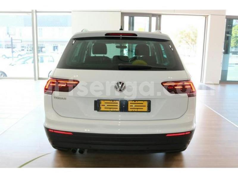 Big with watermark crop800x600 2019 07 23t085306.796