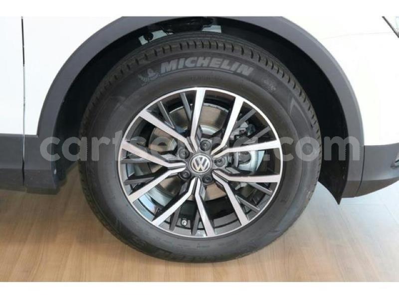 Big with watermark crop800x600 2019 07 23t085259.674