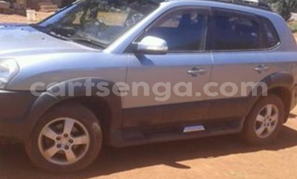 Buy Used Hyundai Tucson Silver Car in Nhlangano in Swaziland Buy Used Hyundai Tucson Silver Car in Nhlangano in Swaziland