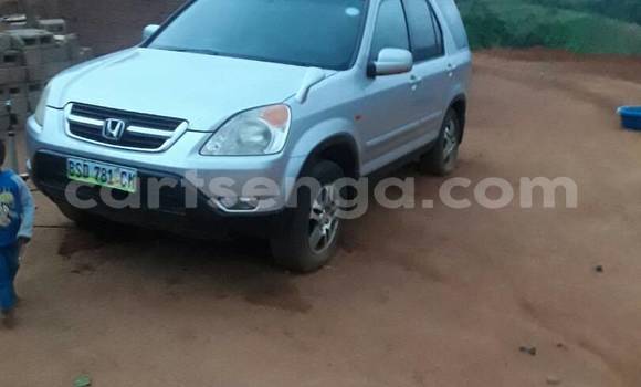 Buy Used Honda CR-V Silver Car in Manzini in Swaziland Buy Used Honda CR-V Silver Car in Manzini in Swaziland
