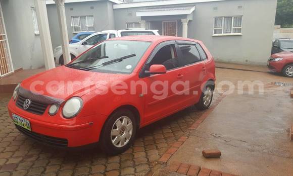 Buy Used Volkswagen Polo Red Car in Manzini in Swaziland Buy Used Volkswagen Polo Red Car in Manzini in Swaziland