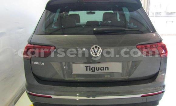 Acheter Occasion Voiture Volkswagen Tiguan Gris à Ezulwini, Hhohho Acheter Occasion Voiture Volkswagen Tiguan Gris à Ezulwini, Hhohho
