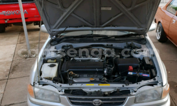 Nunua Ilio tumika Toyota Corolla Silver Gari ndani ya Ezulwini nchini Hhohho Nunua Ilio tumika Toyota Corolla Silver Gari ndani ya Ezulwini nchini Hhohho