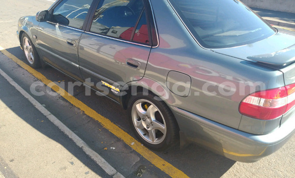 Nunua Ilio tumika Toyota Corolla Other Gari ndani ya Ezulwini nchini Hhohho Nunua Ilio tumika Toyota Corolla Other Gari ndani ya Ezulwini nchini Hhohho