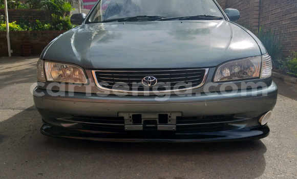 Nunua Ilio tumika Toyota Corolla Other Gari ndani ya Ezulwini nchini Hhohho Nunua Ilio tumika Toyota Corolla Other Gari ndani ya Ezulwini nchini Hhohho