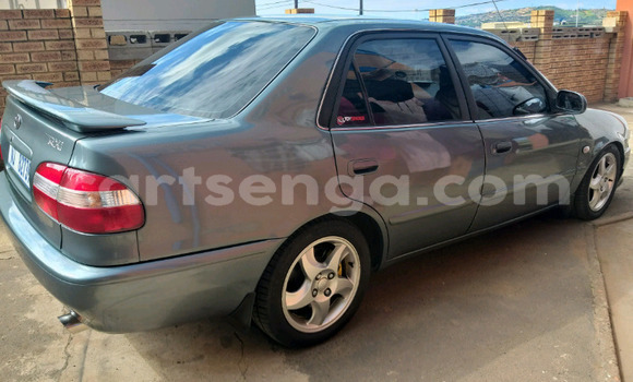 Nunua Ilio tumika Toyota Corolla Other Gari ndani ya Ezulwini nchini Hhohho Nunua Ilio tumika Toyota Corolla Other Gari ndani ya Ezulwini nchini Hhohho