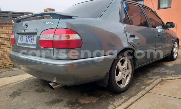 Nunua Ilio tumika Toyota Corolla Other Gari ndani ya Ezulwini nchini Hhohho Nunua Ilio tumika Toyota Corolla Other Gari ndani ya Ezulwini nchini Hhohho