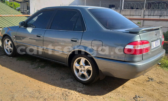 Nunua Ilio tumika Toyota Corolla Other Gari ndani ya Ezulwini nchini Hhohho Nunua Ilio tumika Toyota Corolla Other Gari ndani ya Ezulwini nchini Hhohho