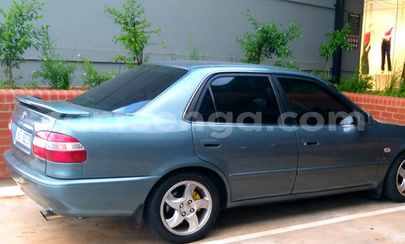 Nunua Ilio tumika Toyota Corolla Other Gari ndani ya Ezulwini nchini Hhohho Nunua Ilio tumika Toyota Corolla Other Gari ndani ya Ezulwini nchini Hhohho