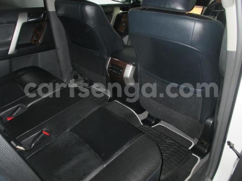 Big with watermark crop800x600 7 