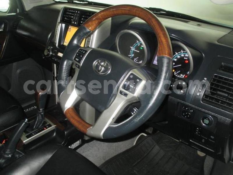 Big with watermark crop800x600 8 