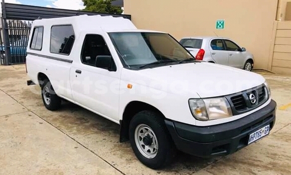 Buy Used Nissan Hardbody White Car in Kwaluseni in Manzini Buy Used Nissan Hardbody White Car in Kwaluseni in Manzini