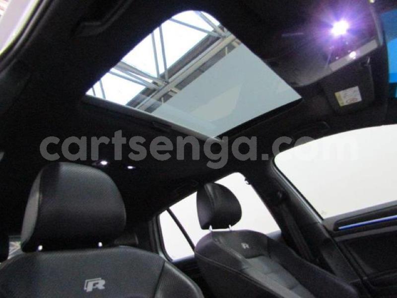 Big with watermark crop800x600 10 