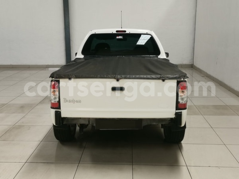 Big with watermark 77