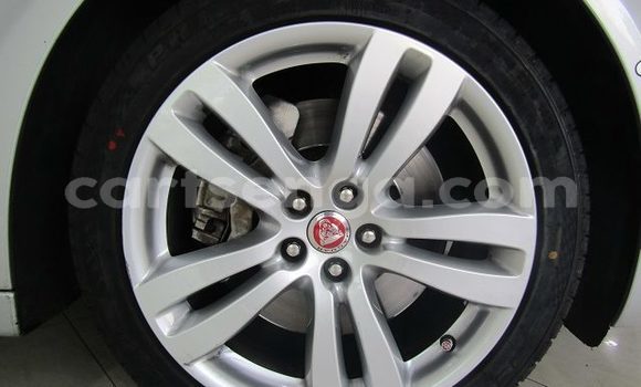 Buy Used Jaguar XJ Silver Car in Ezulwini in Hhohho Buy Used Jaguar XJ Silver Car in Ezulwini in Hhohho