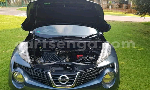 Buy Used Nissan Juke Green Car in Ezulwini in Hhohho Buy Used Nissan Juke Green Car in Ezulwini in Hhohho