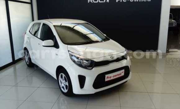 Nunua Ilio tumika Kia Picanto White Gari ndani ya Bulembu nchini Hhohho Nunua Ilio tumika Kia Picanto White Gari ndani ya Bulembu nchini Hhohho