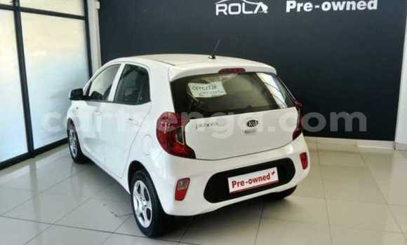 Nunua Ilio tumika Kia Picanto White Gari ndani ya Bulembu nchini Hhohho Nunua Ilio tumika Kia Picanto White Gari ndani ya Bulembu nchini Hhohho