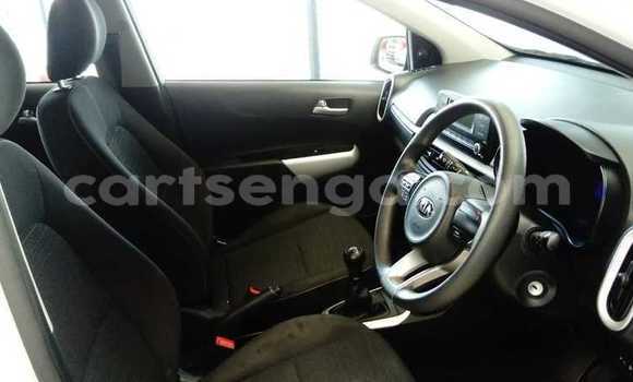 Nunua Ilio tumika Kia Picanto White Gari ndani ya Bulembu nchini Hhohho Nunua Ilio tumika Kia Picanto White Gari ndani ya Bulembu nchini Hhohho