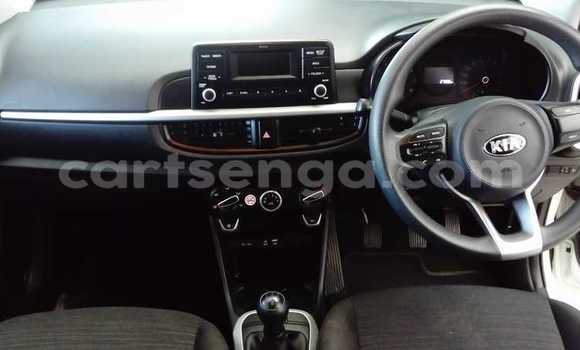 Nunua Ilio tumika Kia Picanto White Gari ndani ya Bulembu nchini Hhohho Nunua Ilio tumika Kia Picanto White Gari ndani ya Bulembu nchini Hhohho