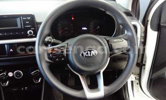 Nunua Ilio tumika Kia Picanto White Gari ndani ya Bulembu nchini Hhohho Nunua Ilio tumika Kia Picanto White Gari ndani ya Bulembu nchini Hhohho