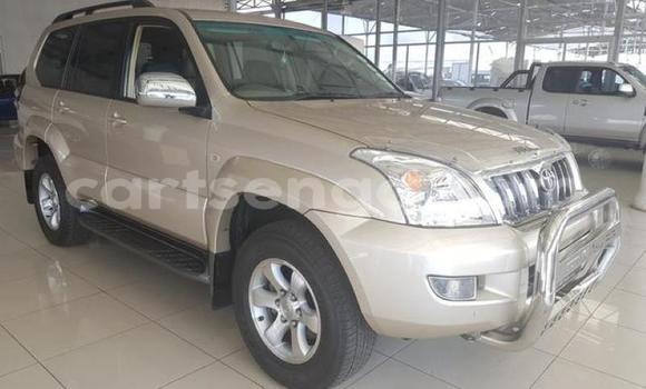 Buy Used Toyota Land Cruiser Prado Other Car in Ezulwini in Hhohho Buy Used Toyota Land Cruiser Prado Other Car in Ezulwini in Hhohho