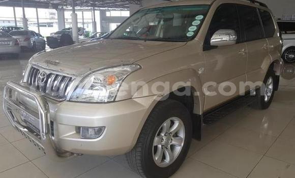 Buy Used Toyota Land Cruiser Prado Other Car in Ezulwini in Hhohho Buy Used Toyota Land Cruiser Prado Other Car in Ezulwini in Hhohho