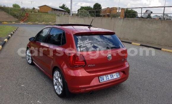 Acheter Occasion Voiture Volkswagen Polo Rouge à Bhunya, Manzini Acheter Occasion Voiture Volkswagen Polo Rouge à Bhunya, Manzini