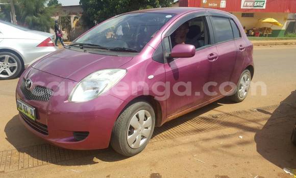 Buy New Toyota Vitz Other Car in Manzini in Swaziland Buy New Toyota Vitz Other Car in Manzini in Swaziland