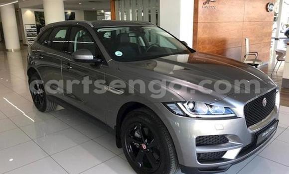 Buy Used Jaguar F-Pace Silver Car in Big Bend in Lubombo District