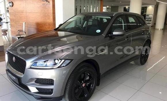 Nunua Ilio tumika Jaguar F-Pace Silver Gari ndani ya Big Bend nchini Wilaya ya Lubombo Nunua Ilio tumika Jaguar F-Pace Silver Gari ndani ya Big Bend nchini Wilaya ya Lubombo