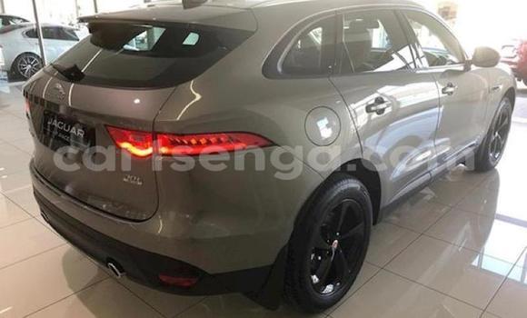 Nunua Ilio tumika Jaguar F-Pace Silver Gari ndani ya Big Bend nchini Wilaya ya Lubombo Nunua Ilio tumika Jaguar F-Pace Silver Gari ndani ya Big Bend nchini Wilaya ya Lubombo