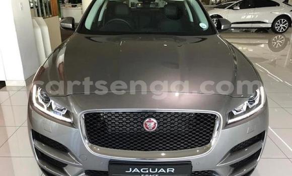Nunua Ilio tumika Jaguar F-Pace Silver Gari ndani ya Big Bend nchini Wilaya ya Lubombo Nunua Ilio tumika Jaguar F-Pace Silver Gari ndani ya Big Bend nchini Wilaya ya Lubombo