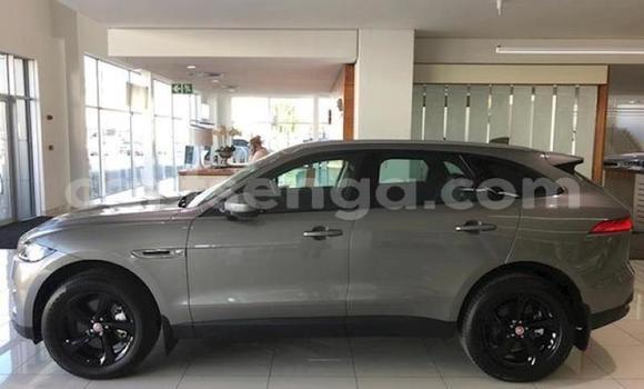 Nunua Ilio tumika Jaguar F-Pace Silver Gari ndani ya Big Bend nchini Wilaya ya Lubombo Nunua Ilio tumika Jaguar F-Pace Silver Gari ndani ya Big Bend nchini Wilaya ya Lubombo