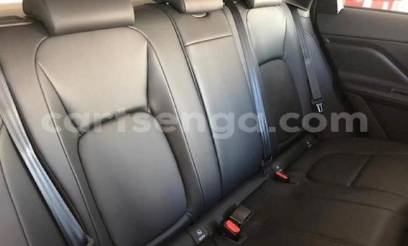 Nunua Ilio tumika Jaguar F-Pace Silver Gari ndani ya Big Bend nchini Wilaya ya Lubombo Nunua Ilio tumika Jaguar F-Pace Silver Gari ndani ya Big Bend nchini Wilaya ya Lubombo