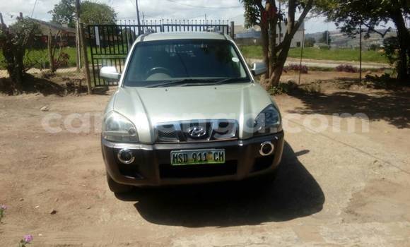 Buy Used Hyundai Tucson Silver Car in Manzini in Swaziland Buy Used Hyundai Tucson Silver Car in Manzini in Swaziland
