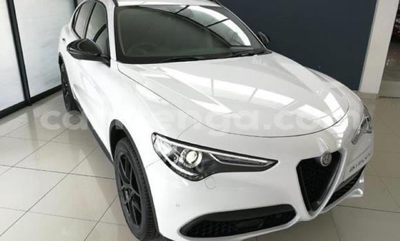 Acheter Occasion Voiture Alfa Romeo Stelvio Blanc à Manzini, Manzini
