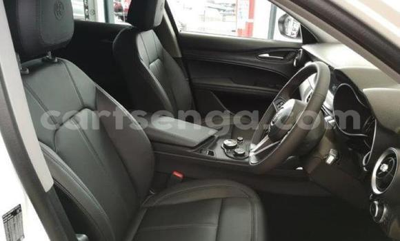 Acheter Occasion Voiture Alfa Romeo Stelvio Blanc à Manzini, Manzini Acheter Occasion Voiture Alfa Romeo Stelvio Blanc à Manzini, Manzini