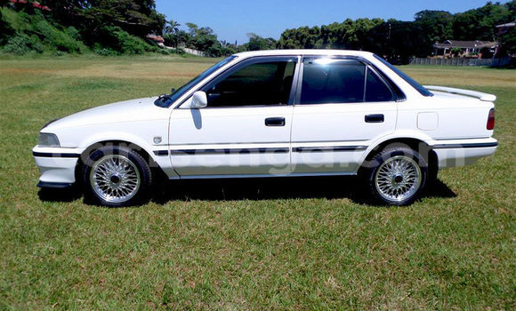 Buy Used Toyota Corolla White Car in Ezulwini in Hhohho Buy Used Toyota Corolla White Car in Ezulwini in Hhohho